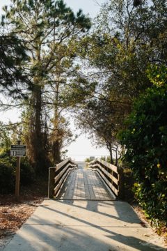 Columbia, Beaufort & Hilton Head; Part Two of our Road Trip through South Carolina