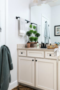 A Bathroom Makeover with Pfister